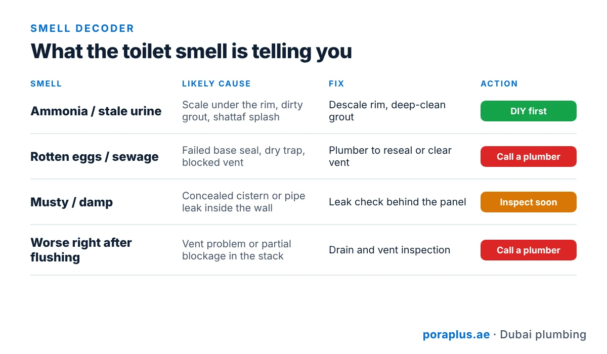 Toilet smell types and causes: ammonia, sewage, musty and smell after flushing